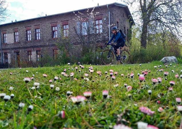 Radfahrerin bei Zehdenick, Foto: Michelle Engel, Lizenz: TV Ruppiner Seenland