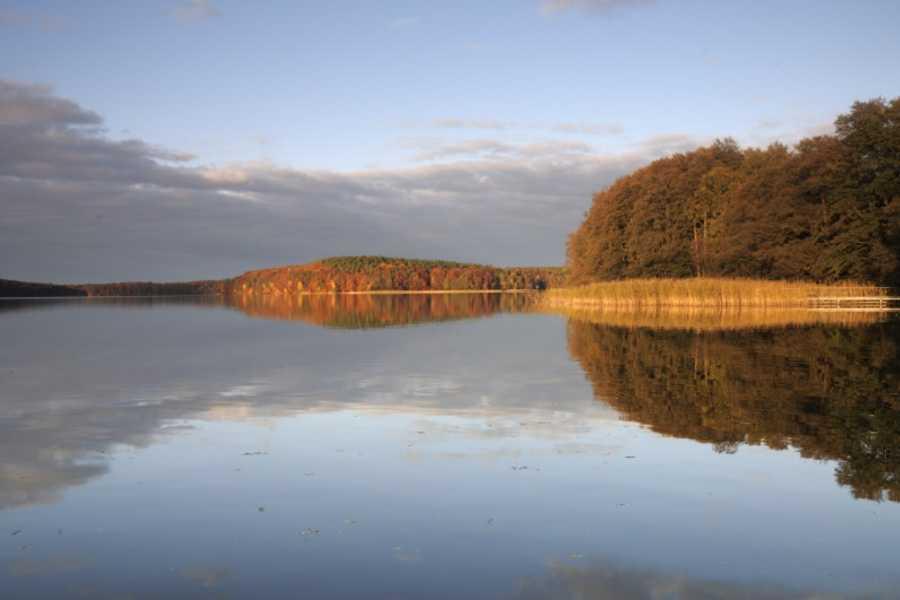 Stechlinsee