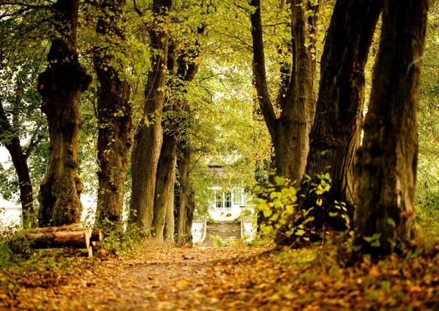 Gut Boltenhof - Auf dem Weg zum Gut Boltenhof, Foto: Gut Boltenhof, Lizenz: Gut Boltenhof Gut Boltenhof - Auf dem Weg zum Gut Boltenhof, Foto: Gut Boltenhof, Lizenz: Gut Boltenhof