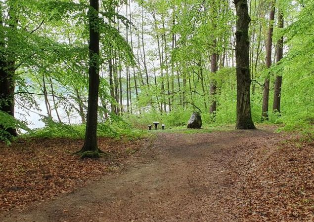 Weg zur Badestelle am Peetschsee, Foto: REGiO Nord Tammer Weg zur Badestelle am Peetschsee, Foto: REGiO Nord Tammer