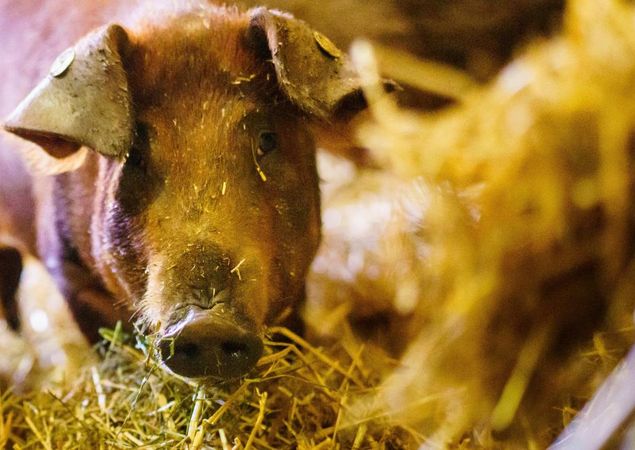 Glück, Foto: Andre Wirsig, Lizenz: Regio Nord