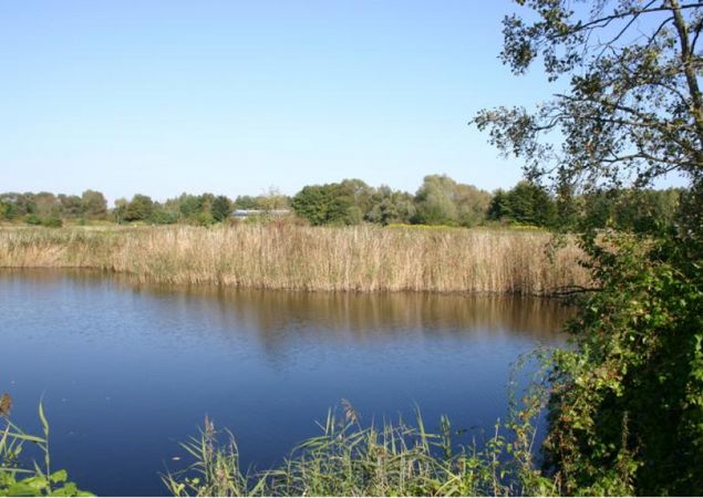 Tonstichlandschaft bei Zehdenick, Foto: Tourismusverband Ruppiner Seenland e.V., Lizenz: Tourismusverband Ruppiner Seenland e.V.