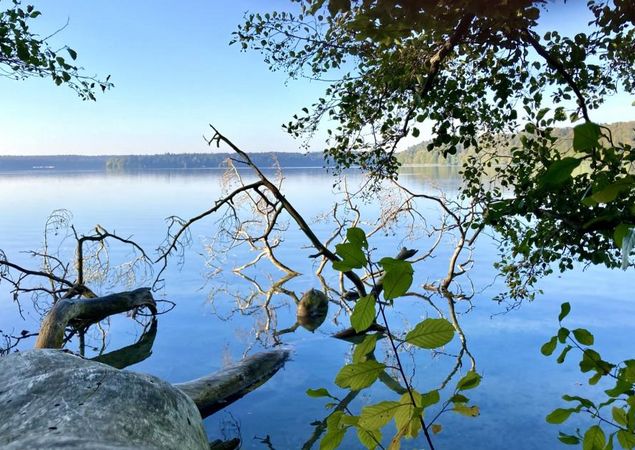 Morgenstimmung am Stechlinsee, Foto: Itta Olaj, Lizenz: Tourismusverband Ruppiner Seenland e. V. Morgenstimmung am Stechlinsee, Foto: Itta Olaj, Lizenz: Tourismusverband Ruppiner Seenland e. V.