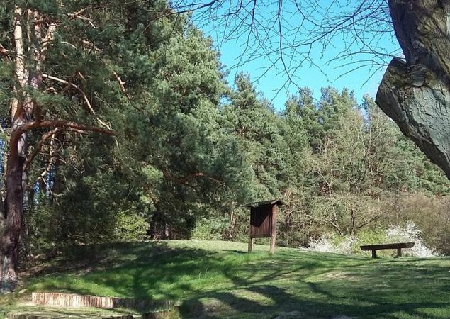 Foto : Tourismusverband Ruppiner Seenland e.V.