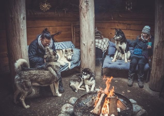 Huskys am Feuer, Foto: J. Friedrich
