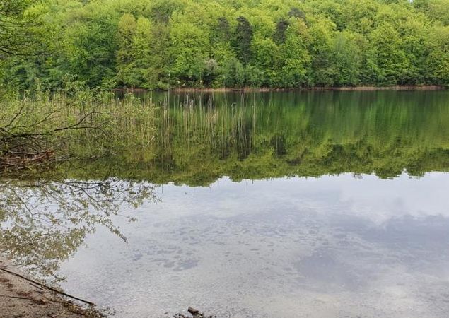 Badestelle am Peetschsee, Foto: REGiO Nord Tammer Badestelle am Peetschsee, Foto: REGiO Nord Tammer