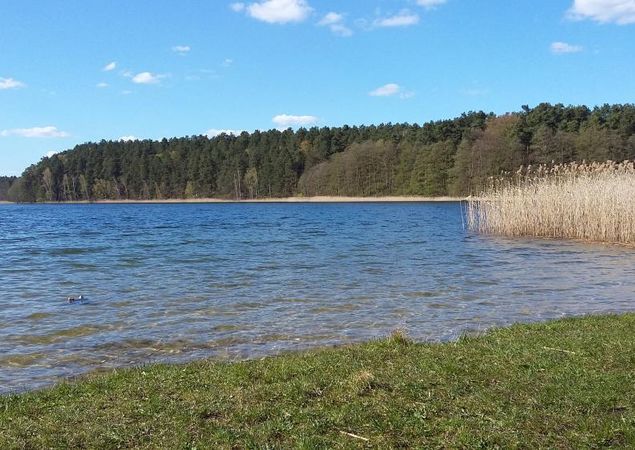 Foto : Tourismusverband Ruppiner Seenland e.V.