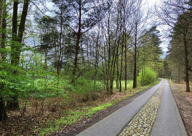 Die Wegführung auf dem letzten Drittel, Foto: Jörg Bartz, Lizenz: TV Ruppiner Seenland e.V. Die Wegführung auf dem letzten Drittel, Foto: Jörg Bartz, Lizenz: TV Ruppiner Seenland e.V.
