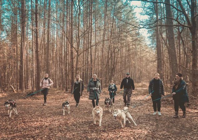 Husky Trekking, Foto: J. Friedrich