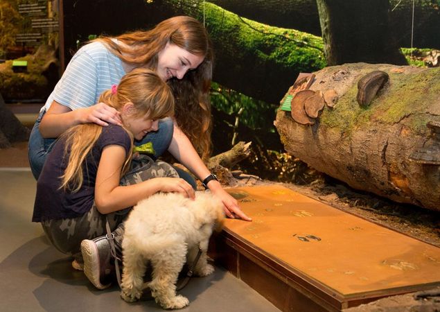 Naturerlebnis mit der ganzen Familie im Müritzeum, Foto: Mirko Runge, Lizenz: Müritzeum gGmbH