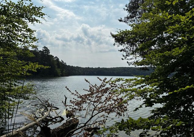 Blick auf den Stechlinsee, Foto: Jörg Bartz, Lizenz: Brandenburgische Seenplatte GmbH Blick auf den Stechlinsee, Foto: Jörg Bartz, Lizenz: Brandenburgische Seenplatte GmbH