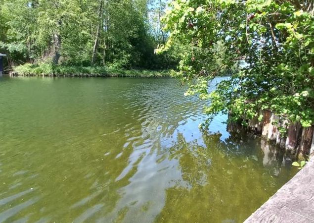 Biwak und Gastliegeplatz Steinförde, Foto: Rhea Knaak, Lizenz: REGiO-Nord