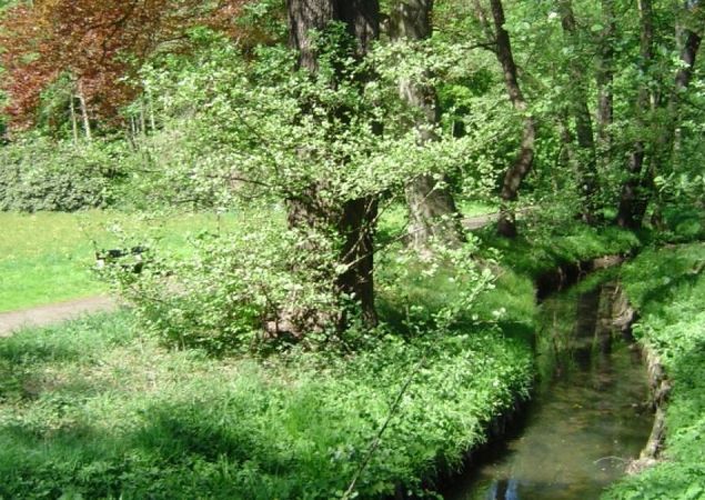 An der Panke, Foto: Hoffmann