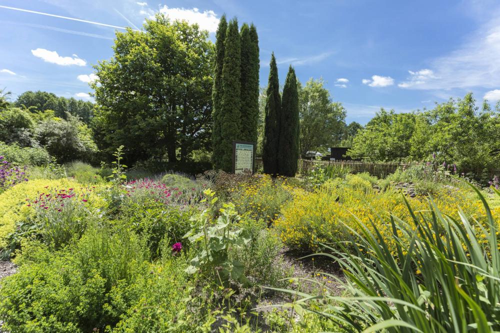 Klosterkräutergarten Himmelpfort, Foto: TMB-Fotoarchiv/Steffen Lehmann Klosterkräutergarten Himmelpfort, Foto: TMB-Fotoarchiv/Steffen Lehmann