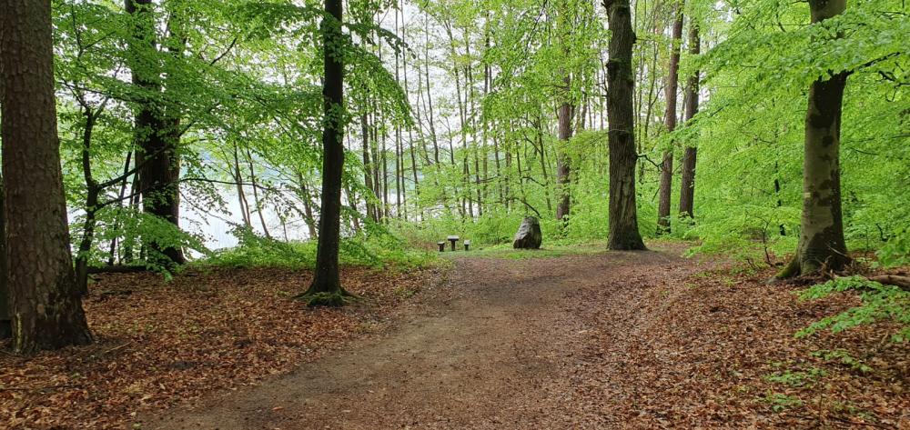 Weg zur Badestelle am Peetschsee, Foto: REGiO Nord Tammer Weg zur Badestelle am Peetschsee, Foto: REGiO Nord Tammer
