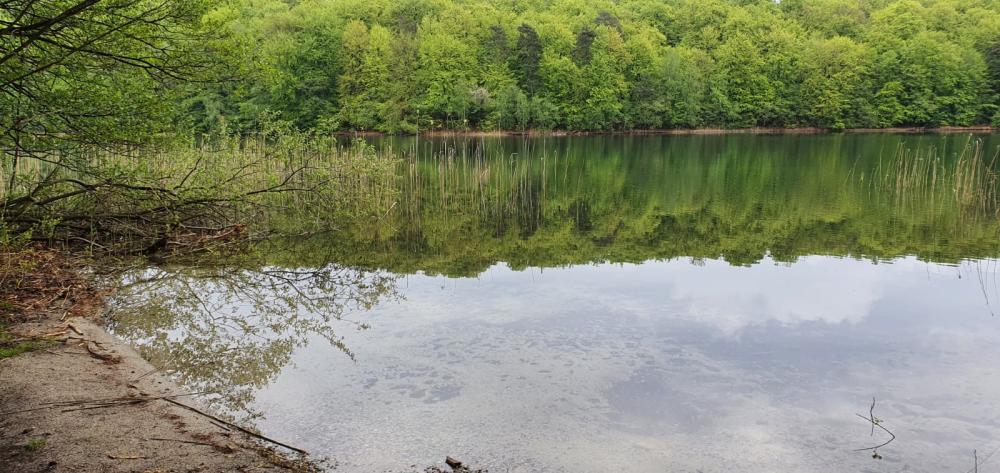 Badestelle am Peetschsee, Foto: REGiO Nord Tammer Badestelle am Peetschsee, Foto: REGiO Nord Tammer