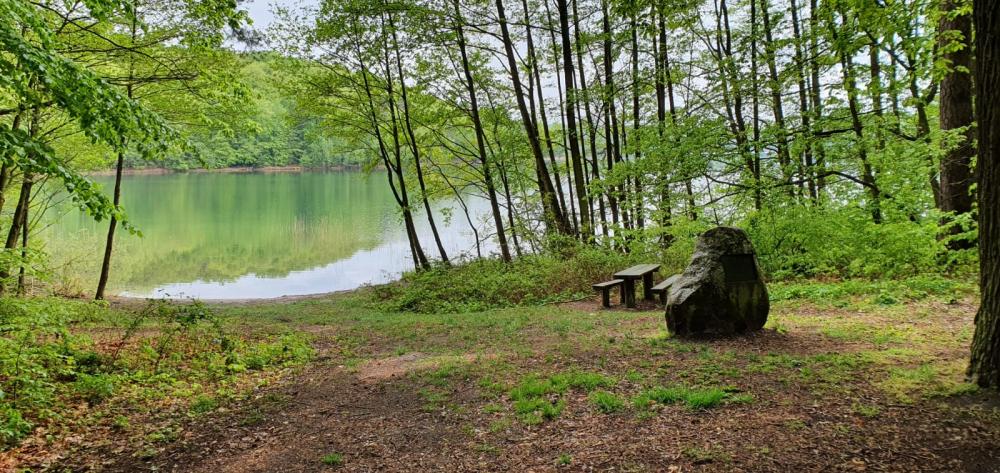 Badestelle am Peetschsee, Foto: REGiO Nord Tammer