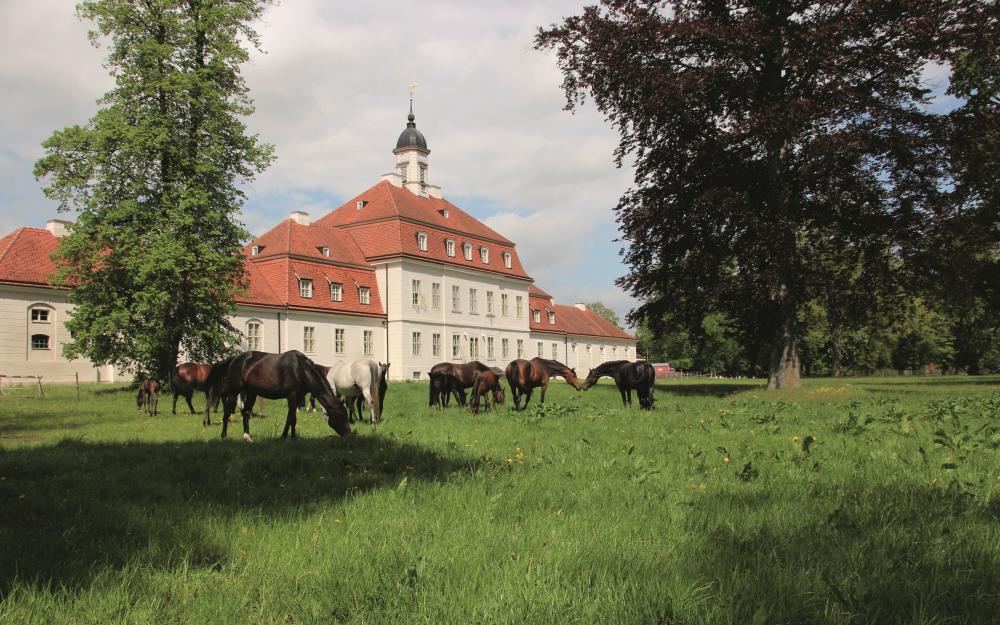 Variante 1 „FONTANE.RAD" - Von Neustadt (Dosse) nach Neuruppin