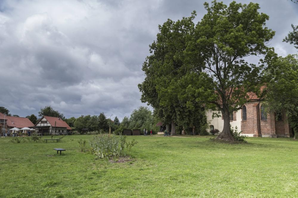 Klosterkirche, Foto: TMB-Fotoarchiv/Steffen Lehmann, Foto: Steffen Lehmann, Lizenz: TMB