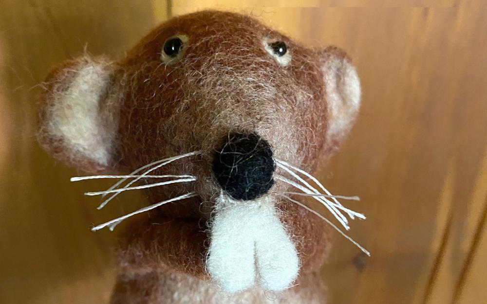 Filzbiber, Foto: Frau Rau, Lizenz: Frau Rau Filzbiber, Foto: Frau Rau, Lizenz: Frau Rau