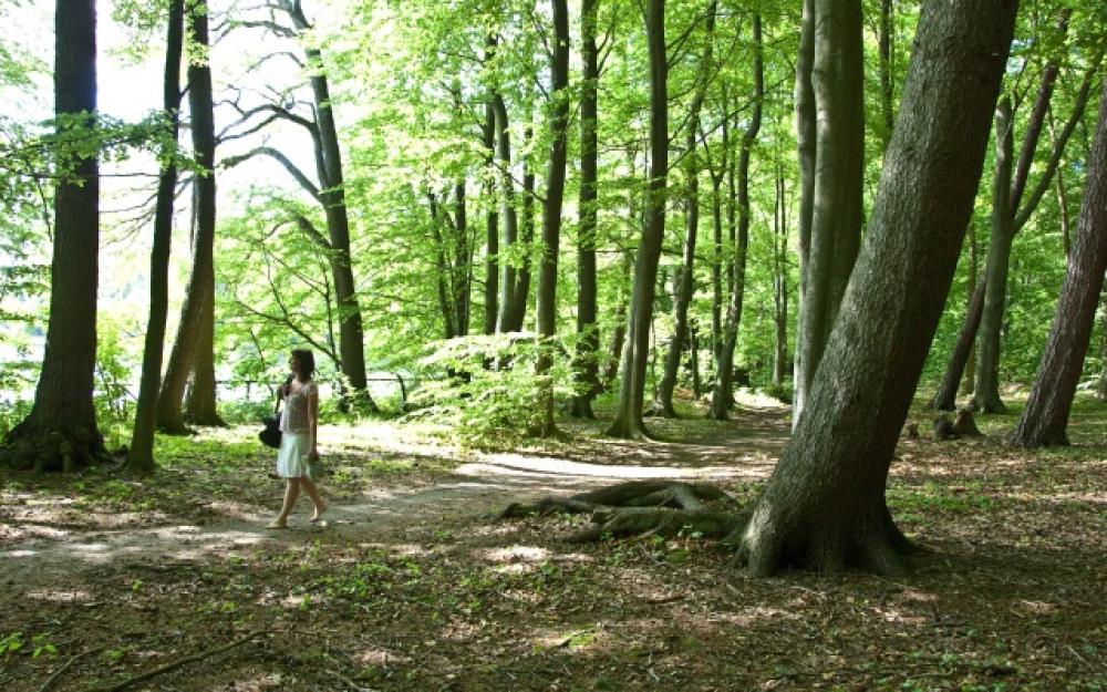 Von Fürstenberg/Havel nach Dannenwalde