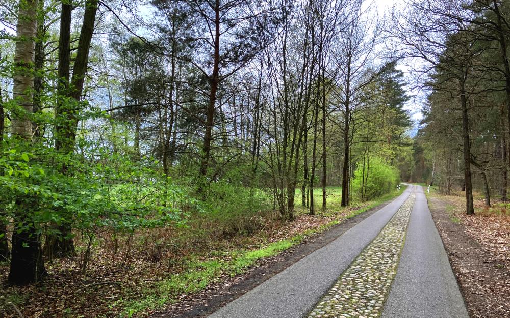 Die Wegführung auf dem letzten Drittel, Foto: Jörg Bartz, Lizenz: TV Ruppiner Seenland e.V. Die Wegführung auf dem letzten Drittel, Foto: Jörg Bartz, Lizenz: TV Ruppiner Seenland e.V.
