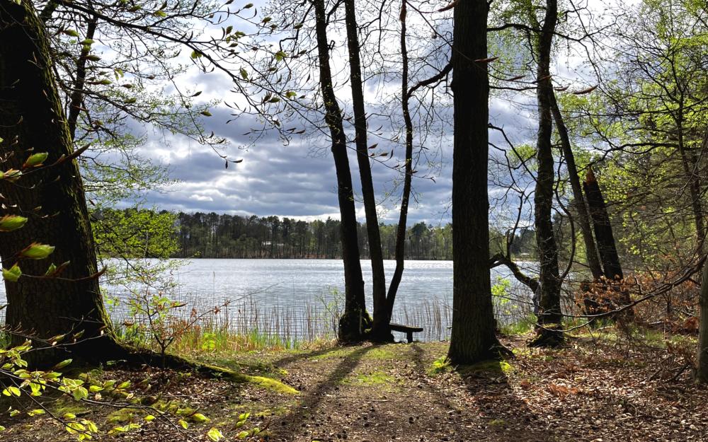 Seeblick, Foto: Jörg Bartz, Lizenz: TV Ruppiner Seenland e.V. Seeblick, Foto: Jörg Bartz, Lizenz: TV Ruppiner Seenland e.V.