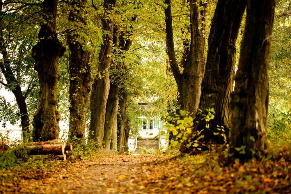 Gut Boltenhof - Auf dem Weg zum Gut Boltenhof, Foto: Gut Boltenhof, Lizenz: Gut Boltenhof Gut Boltenhof - Auf dem Weg zum Gut Boltenhof, Foto: Gut Boltenhof, Lizenz: Gut Boltenhof