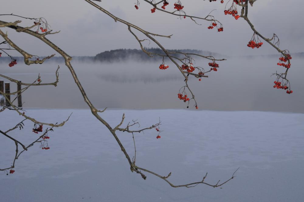 Stechlinsee im Winter, Foto: Michael Feierabend Stechlinsee im Winter, Foto: Michael Feierabend
