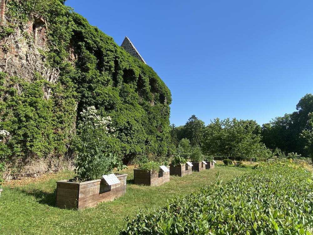 Klostergarten mit Hochbeeten, Foto: Elisabeth Kluge, Lizenz: Tourist-Information Zehdenick Klostergarten mit Hochbeeten, Foto: Elisabeth Kluge, Lizenz: Tourist-Information Zehdenick