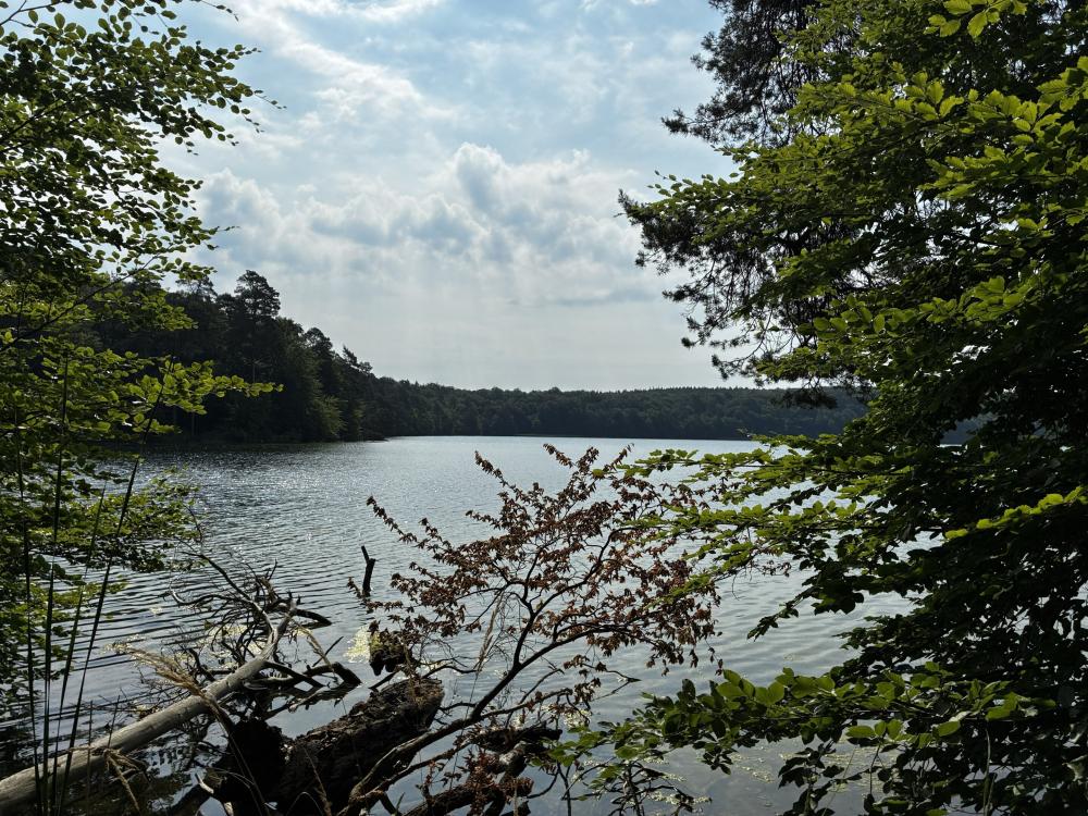 Blick auf den Stechlinsee, Foto: Jörg Bartz, Lizenz: Brandenburgische Seenplatte GmbH Blick auf den Stechlinsee, Foto: Jörg Bartz, Lizenz: Brandenburgische Seenplatte GmbH